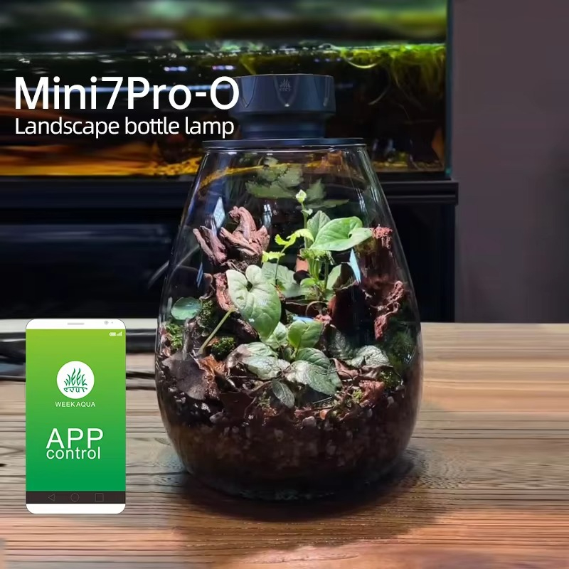 Planted Tank - Lumière de remplissage de plantes micropaysage