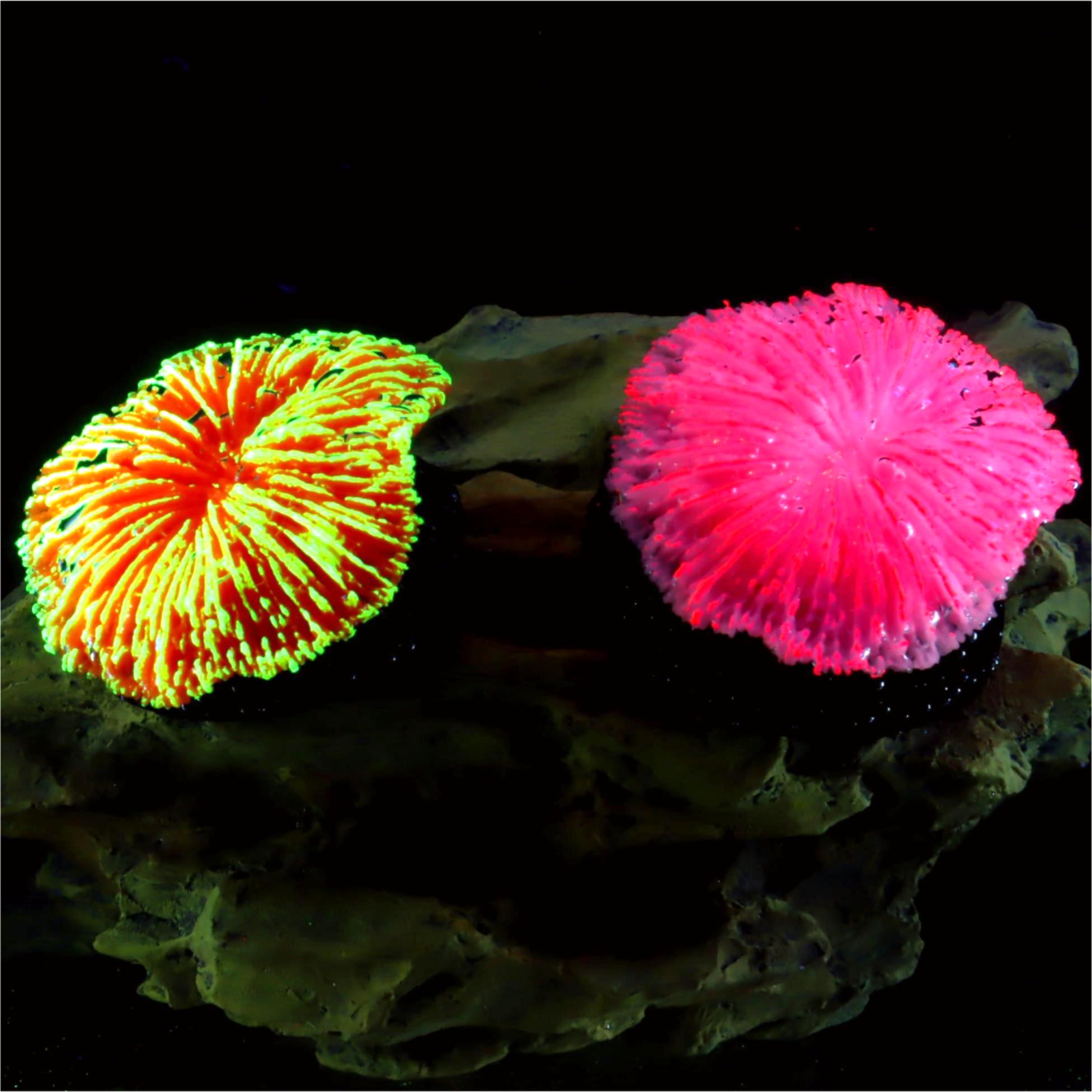 Aquarium Plants Live - 1 pièce de décoration d'aquarium, corail