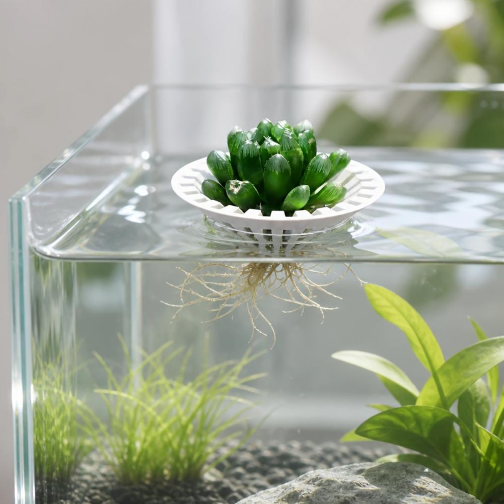Aquarium Plant Holder - Pot hydroponique pour aquarium, support flottant