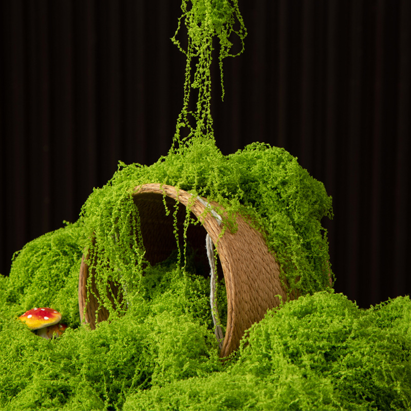 Aquarium Moss - 200g de mousse éternelle pour artisanat
