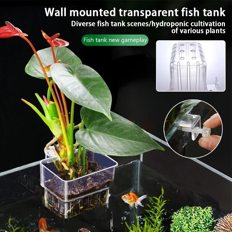 Aquarium Plant Holder - Pots suspendus pour aquarium, supports muraux