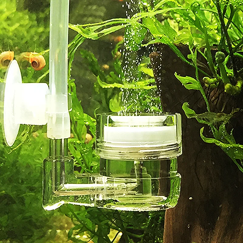 Live Plant Aquarium - Diffuseur de CO2 4 en 1