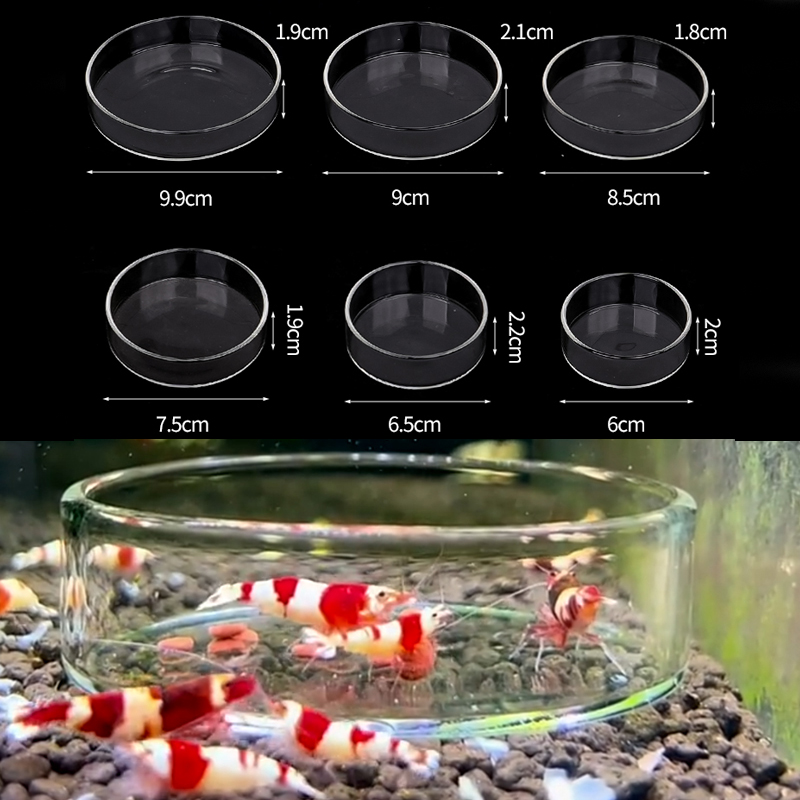 Aquarium Fertilizer - Plat d'alimentation pour crevettes, plat d'alimentation
