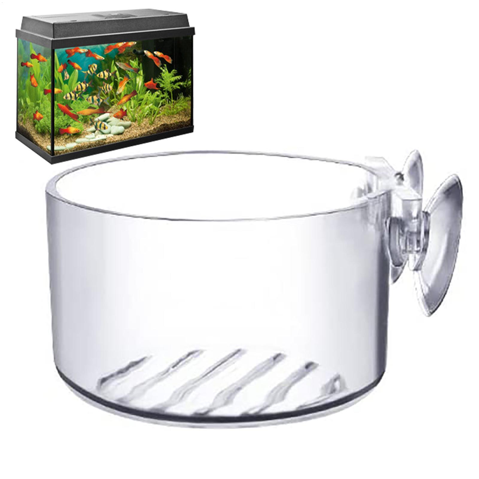 Aquarium Plant Holder - Pot pour plantes aquatiques en acrylique