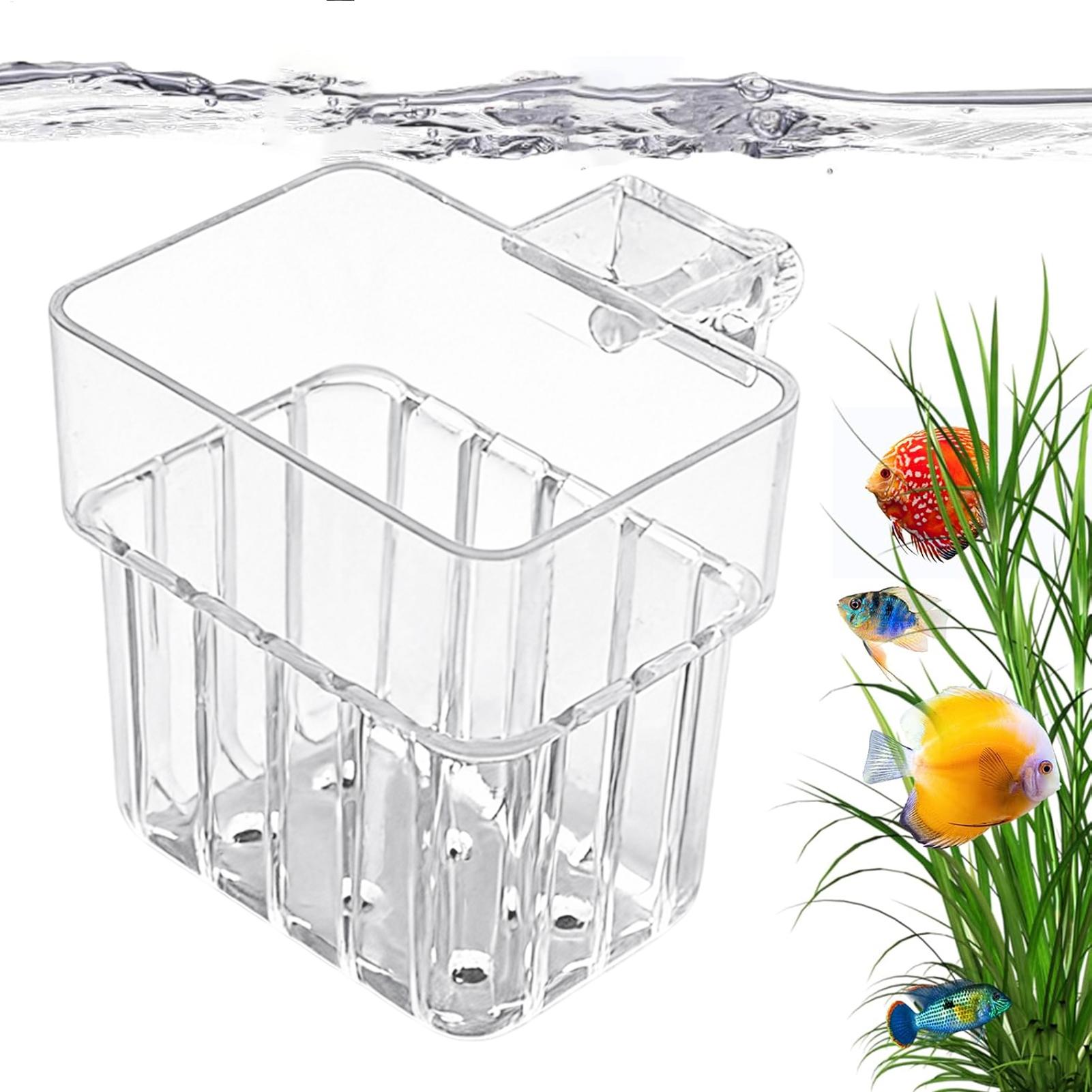 Aquarium Plants Live - Support transparent suspendable pour plantes d'aquarium,