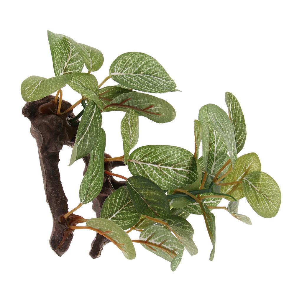 Plant Aquarium Pot - Plantes de terrarium pour reptiles en