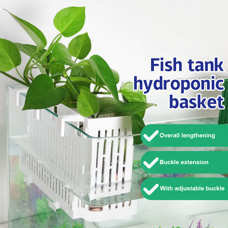 Aquarium Plant Substrate - 【F】Support suspendu pour aquarium, panier hydroponique