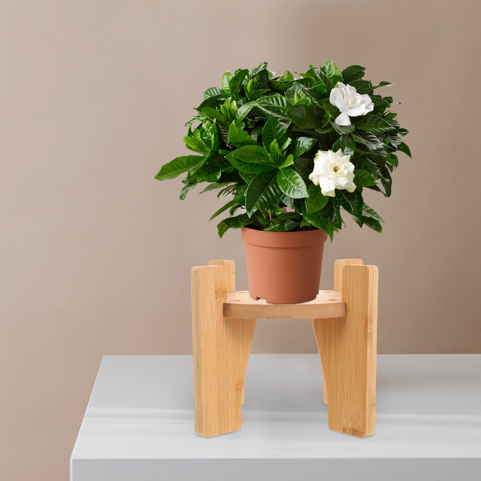 Planted Tank - Support en bois pour distributeur de