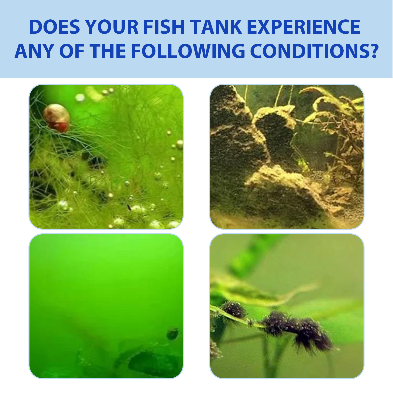 Poudre biologique de contrôle  - Planted Aquarium Algae Control avis et prix
