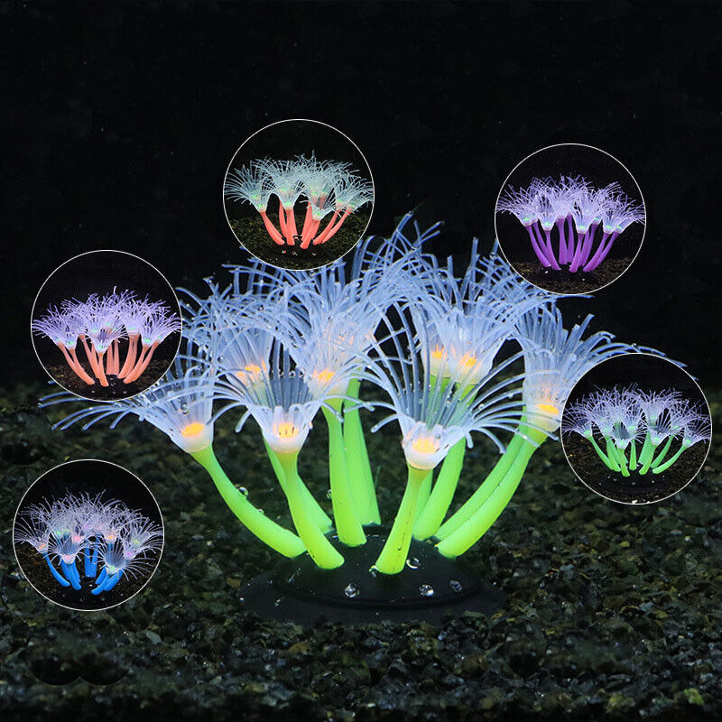 Décoration d'aquarium sous-mar - Aquarium Plant Substrate avis et prix