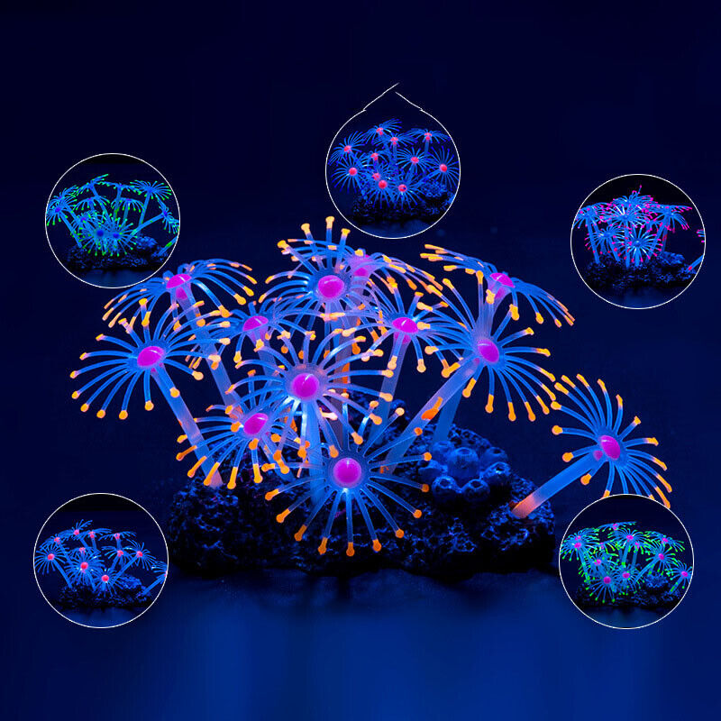 Décoration d'aquarium sous-mar - Aquarium Plant Substrate avis et prix