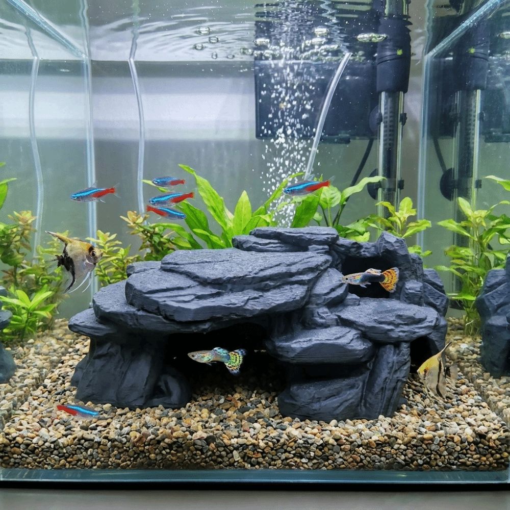 Ornements de rocherie pour aqu - Aquarium Driftwood avis et prix