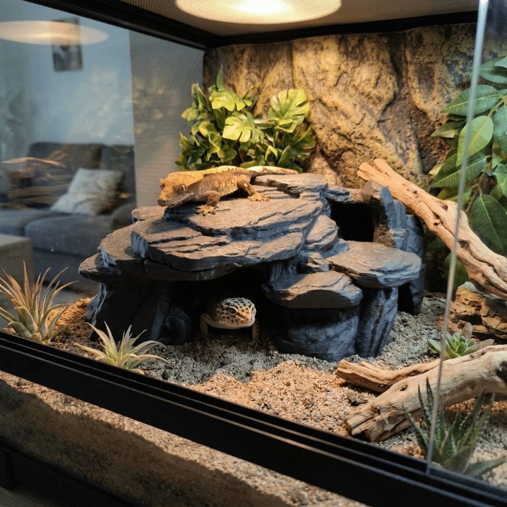 Ornements de rocherie pour aqu - Aquarium Driftwood avis et prix