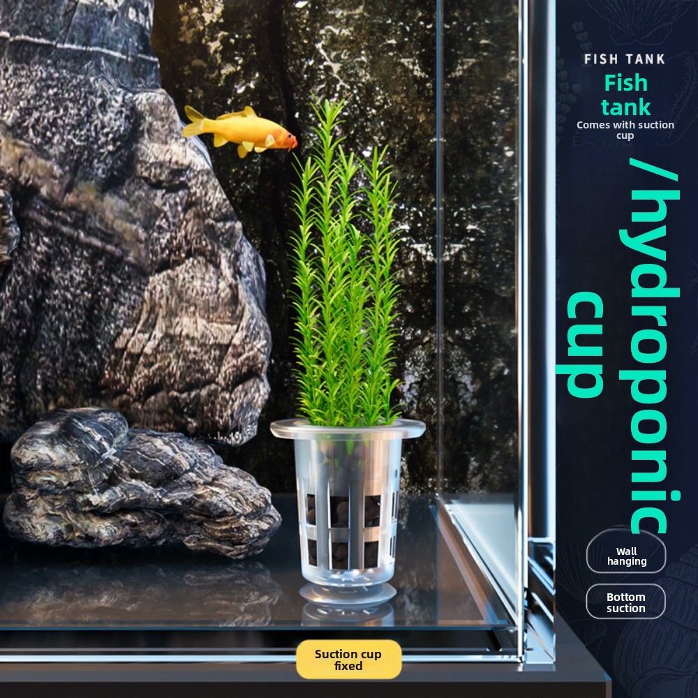 10 pots hydroponiques transpar - Aquarium Plant Holder avis et prix