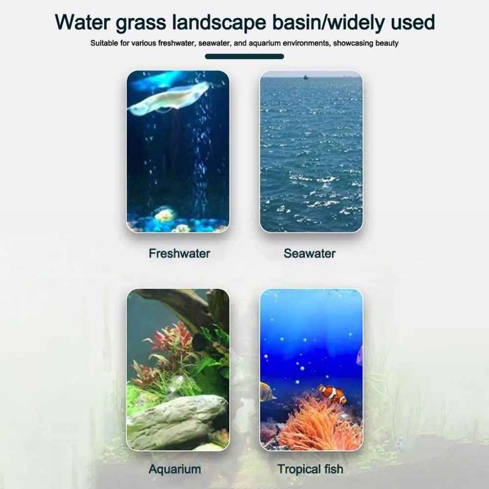 10 pots hydroponiques transpar - Aquarium Plant Holder avis et prix