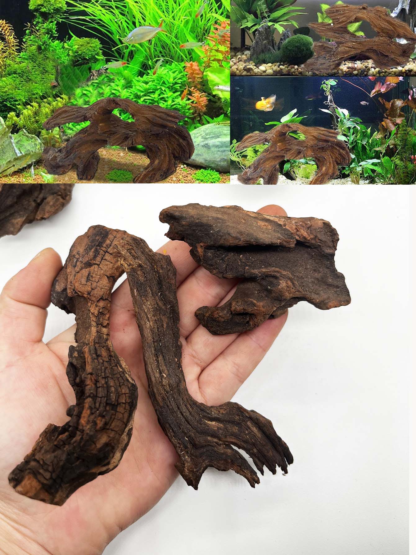 3 pièces ﻿ Ensemble de bois fl - Aquarium Plant Substrate avis et prix