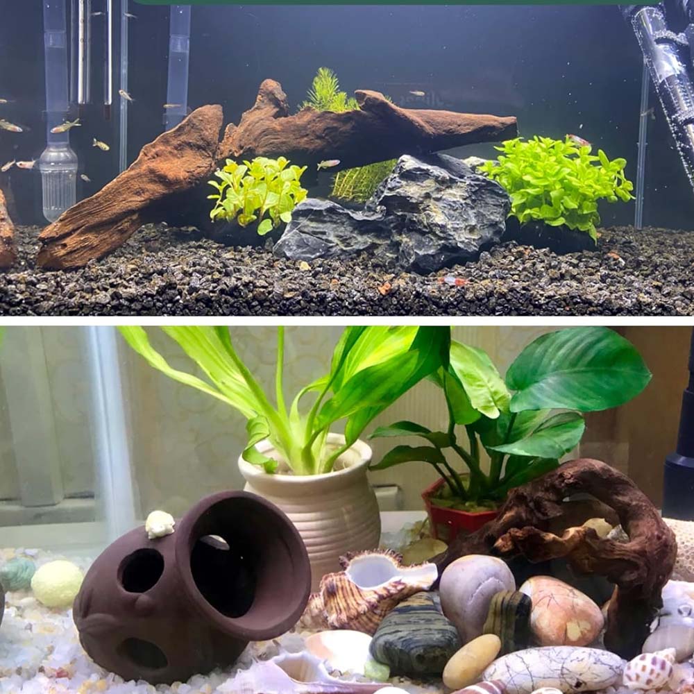 3 pièces ﻿ Ensemble de bois fl - Aquarium Plant Substrate avis et prix