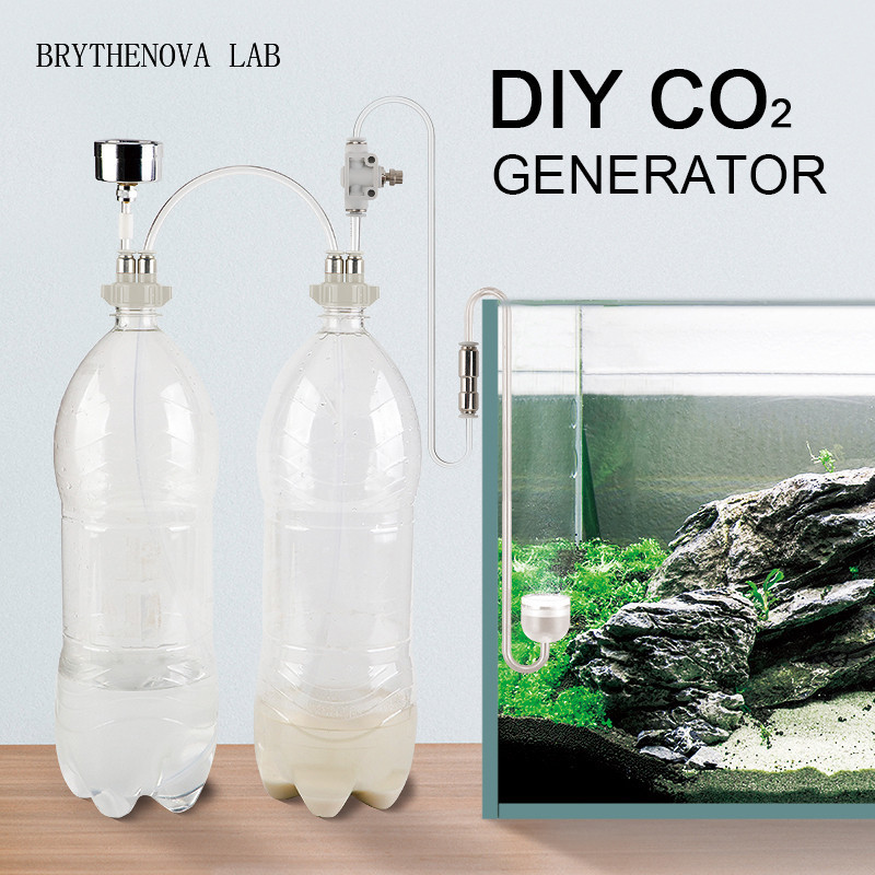 Générateur de CO2 pour aquariu - Aquarium Moss avis et prix