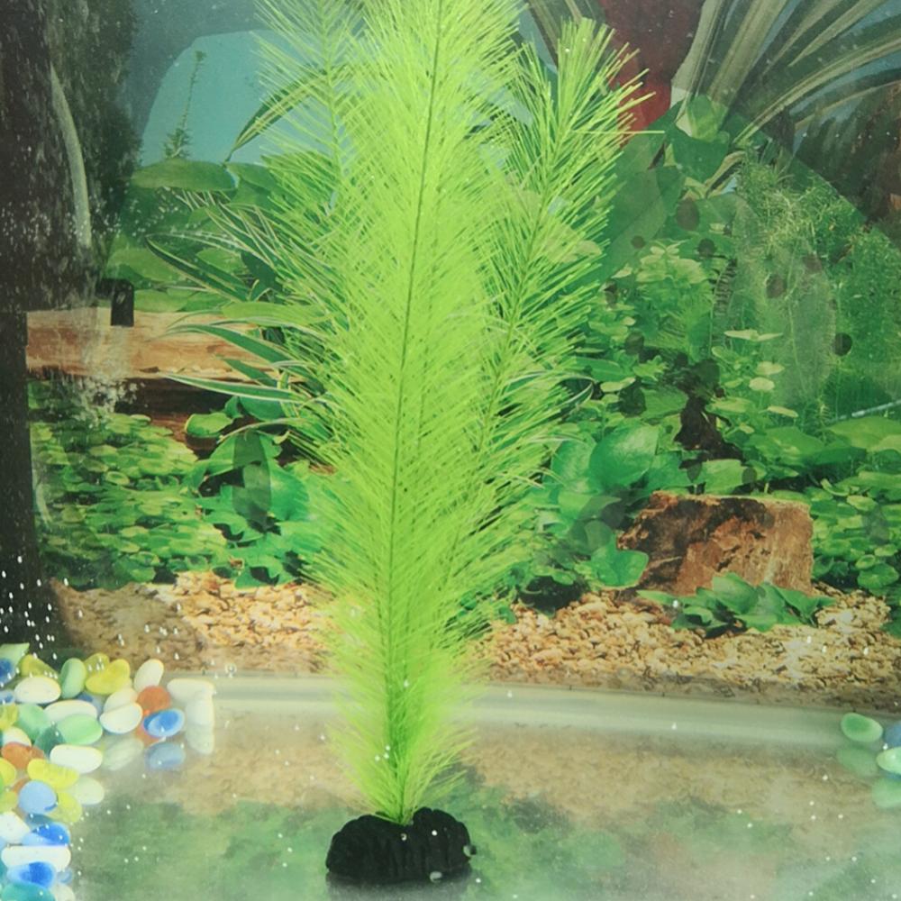 1/3 pièces 28/40cm Aquarium Aq - Aquarium Plants Live avis et prix
