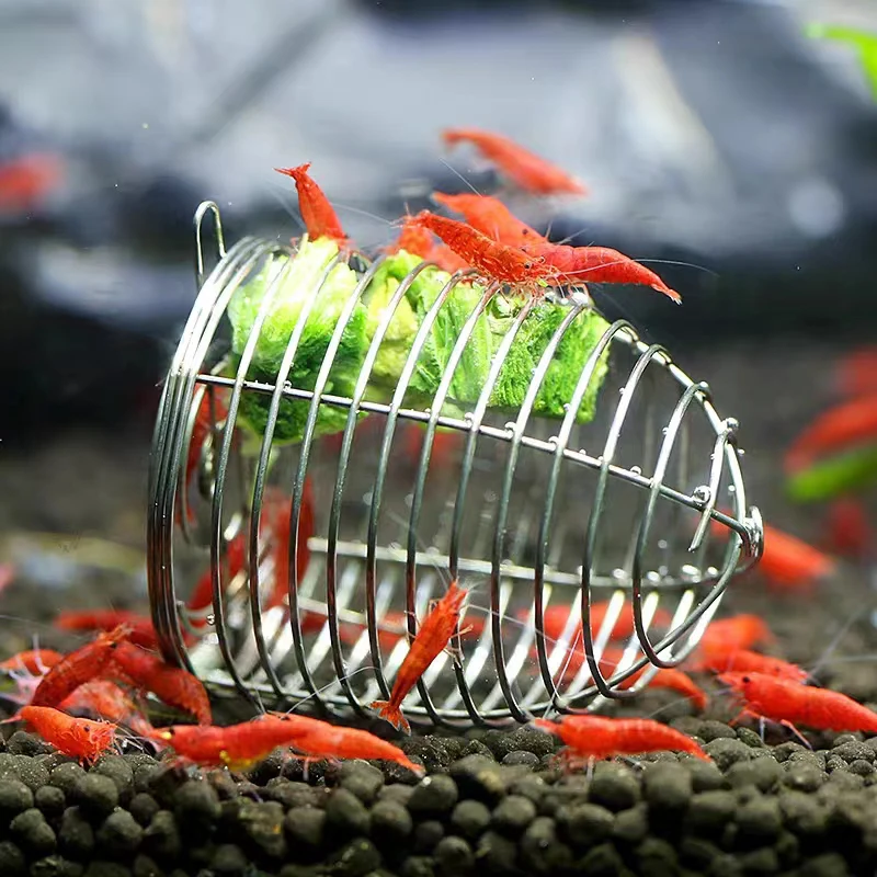 Acuarium en acier inoxydable,  - Aquarium Fertilizer avis et prix