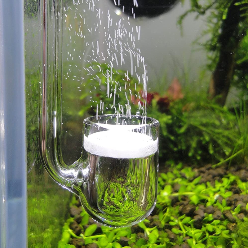 D0AD Diffuseur CO2 en verre po - Aquarium Liquid Carbon avis et prix