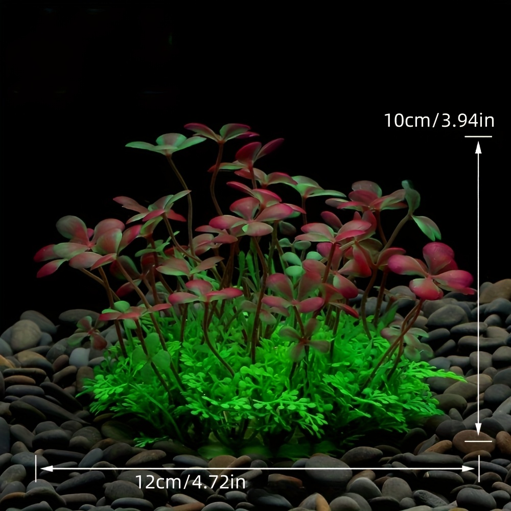 Décoration d'aquarium, plantes - Aquarium Moss avis et prix