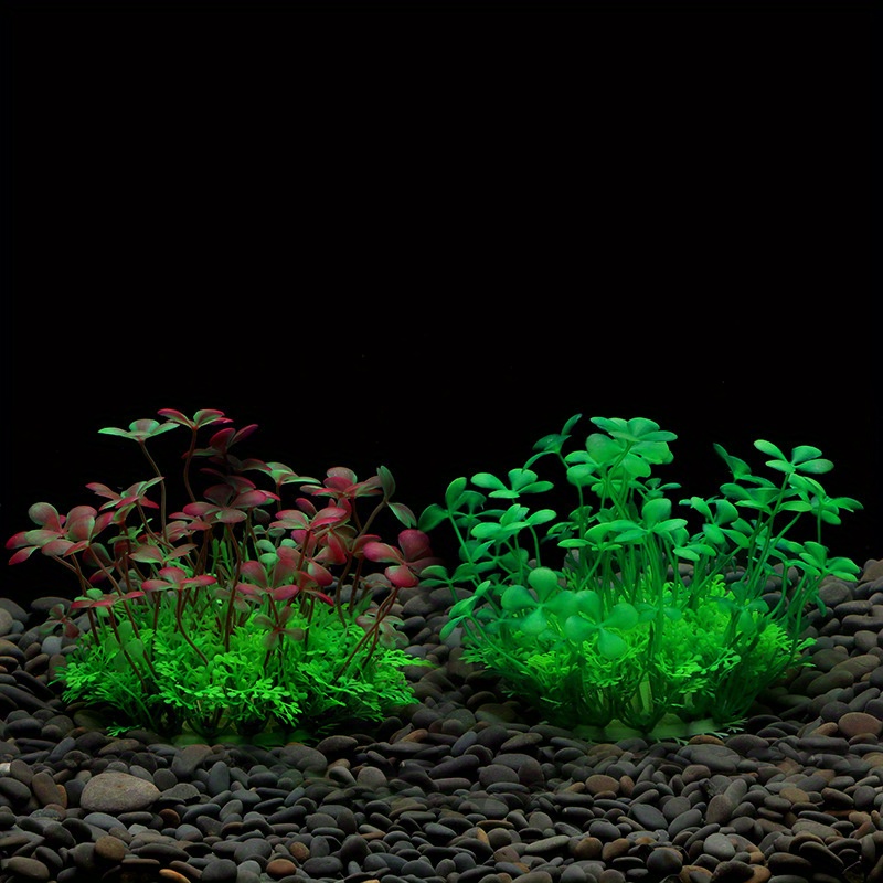 Décoration d'aquarium, plantes - Aquarium Moss avis et prix