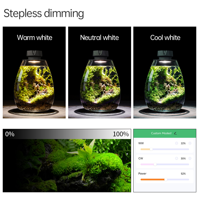 Lumière de remplissage de plan - Planted Tank avis et prix