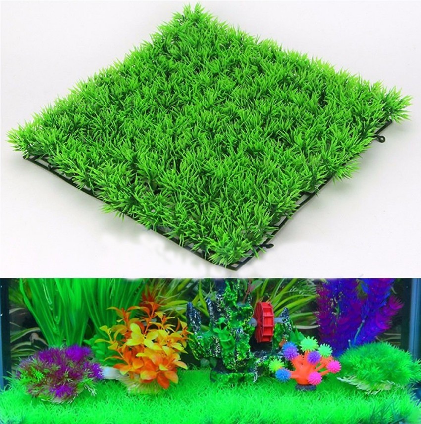 Plante d'herbe verte artificie - Aquarium Plants Live avis et prix