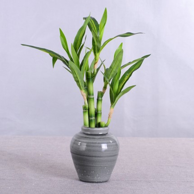 Nouvelle plante artificielle B - Plant Aquarium Pot avis et prix
