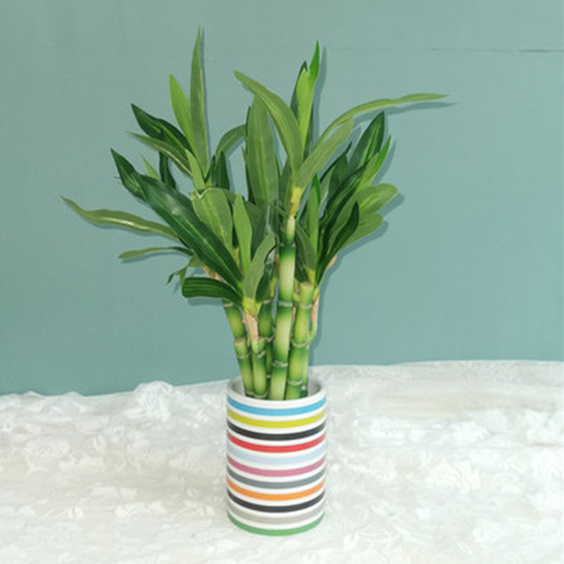 Nouvelle plante artificielle B - Plant Aquarium Pot avis et prix