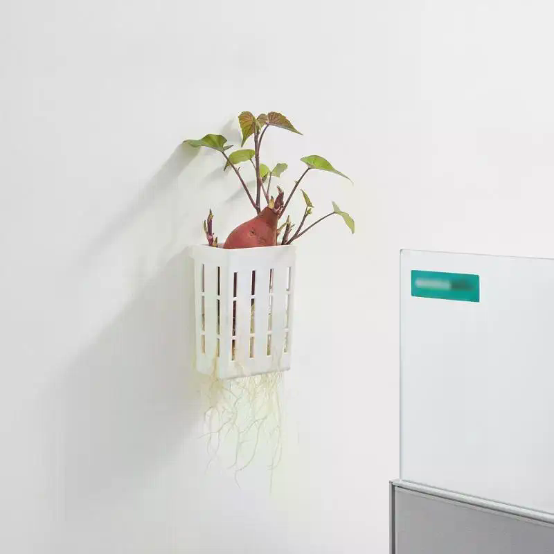 1 pièce Panier de support hydr - Aquarium Plant Holder avis et prix