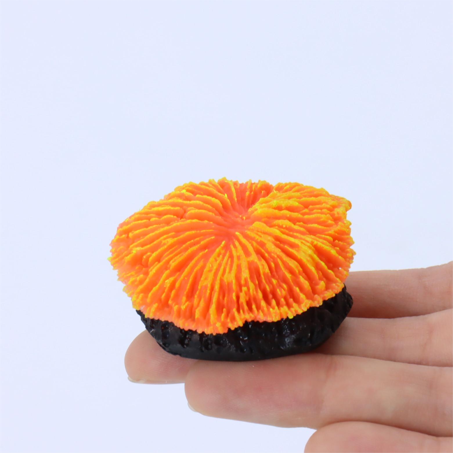 1 pièce de décoration d'aquari - Aquarium Plants Live avis et prix