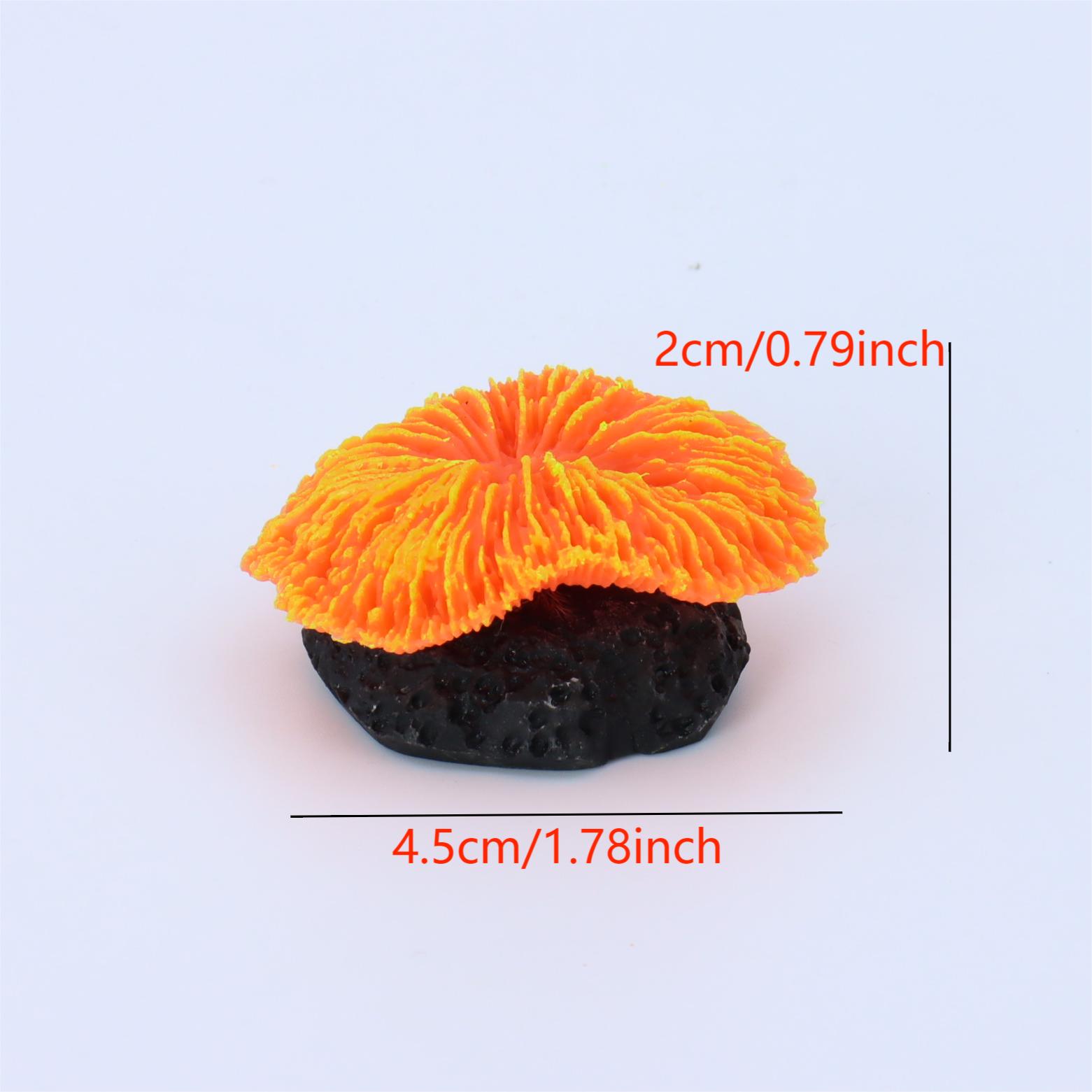 1 pièce de décoration d'aquari - Aquarium Plants Live avis et prix