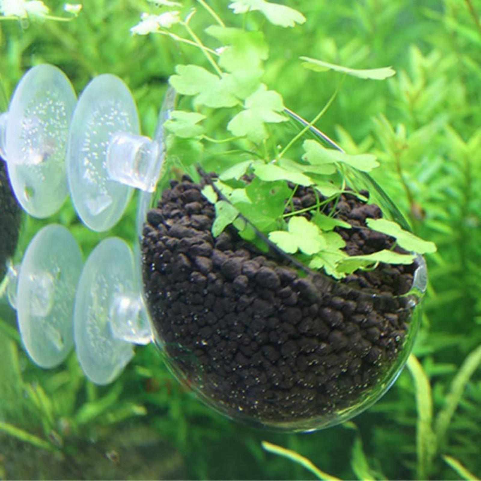 Support pour plantes d'aquariu - Aquarium Plant Holder avis et prix