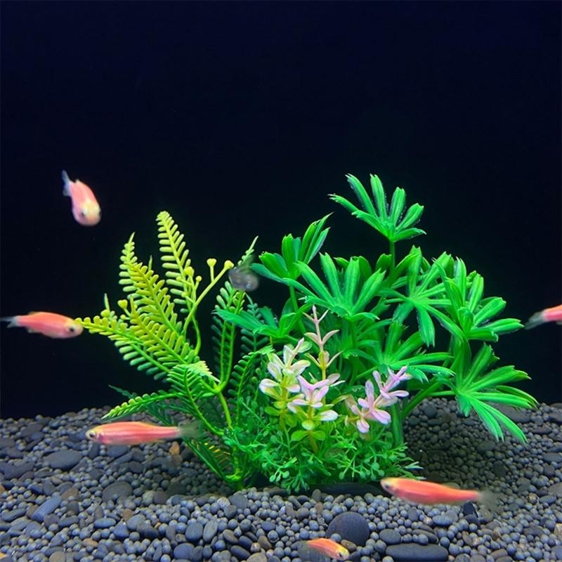 Décoration d'aquarium artifici - Live Plant Aquarium avis et prix