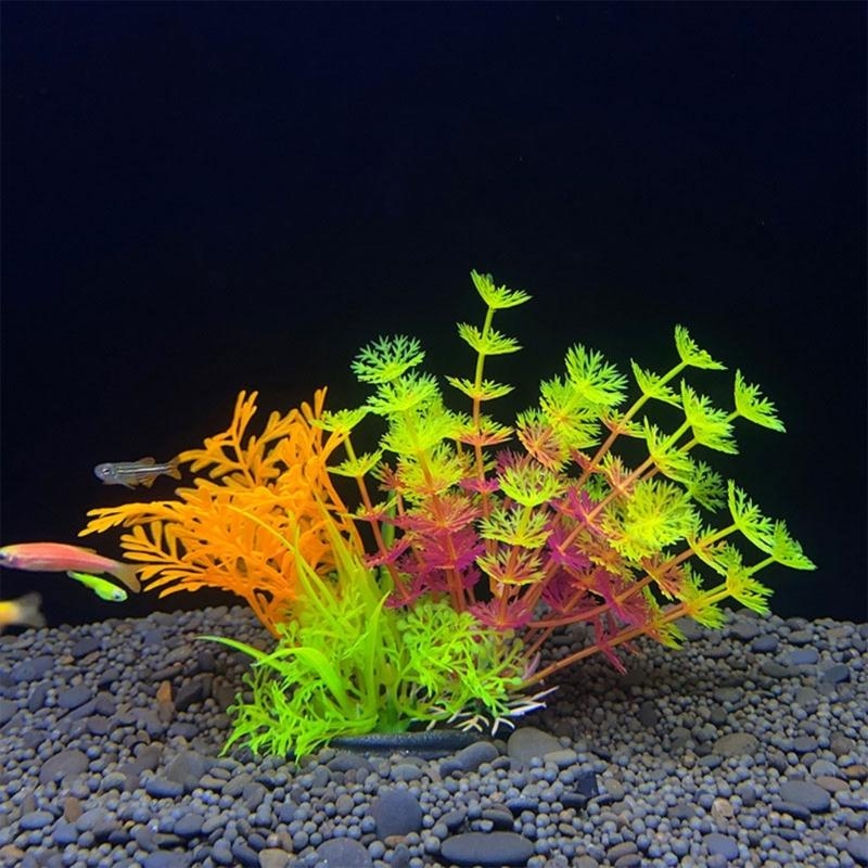 Décoration d'aquarium artifici - Live Plant Aquarium avis et prix