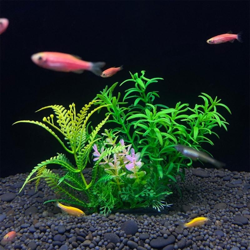 Décoration d'aquarium artifici - Live Plant Aquarium avis et prix