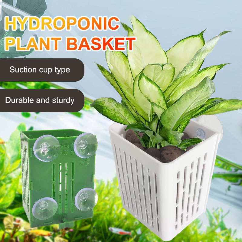 Porte-plante d'aquarium en pla - Aquarium Plant Holder avis et prix