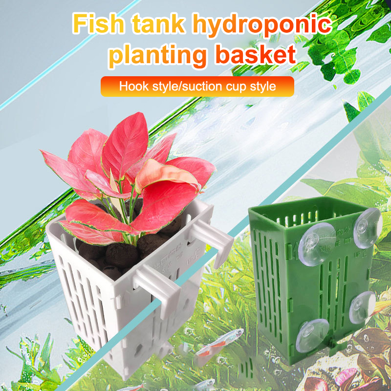 Porte-plante d'aquarium en pla - Aquarium Plant Holder avis et prix