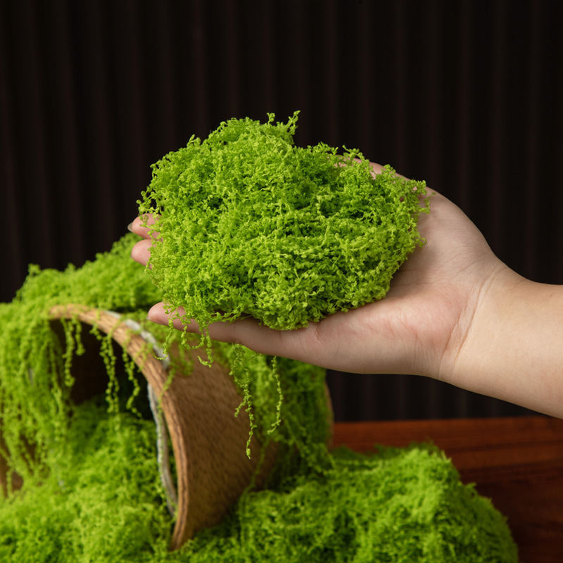 200g de mousse éternelle pour  - Aquarium Moss avis et prix