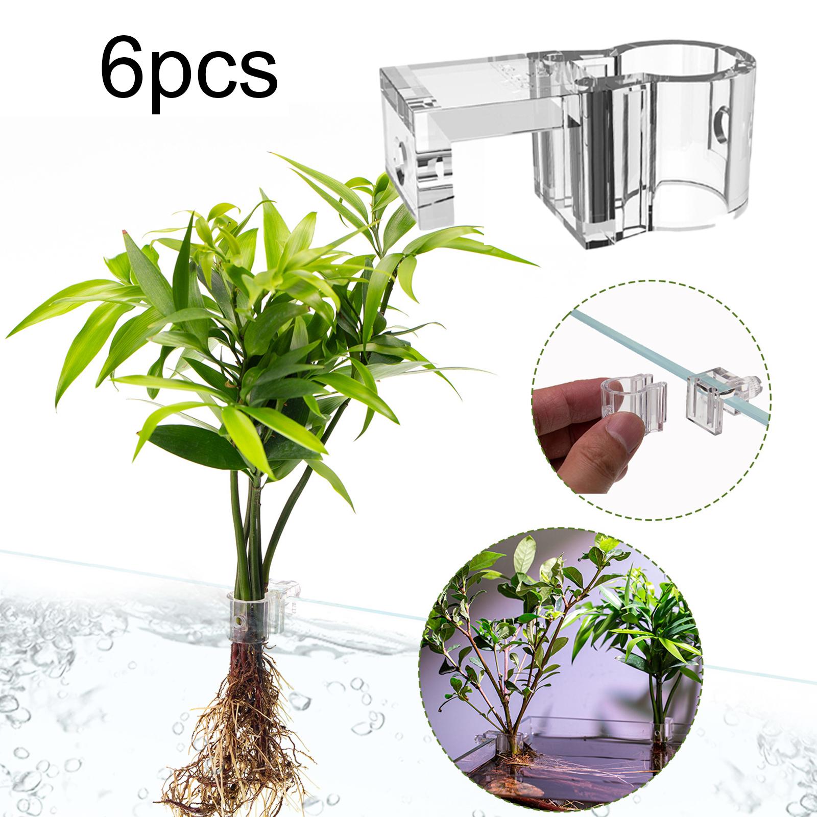 6 pièces de supports pour plan - Aquarium Fertilizer avis et prix