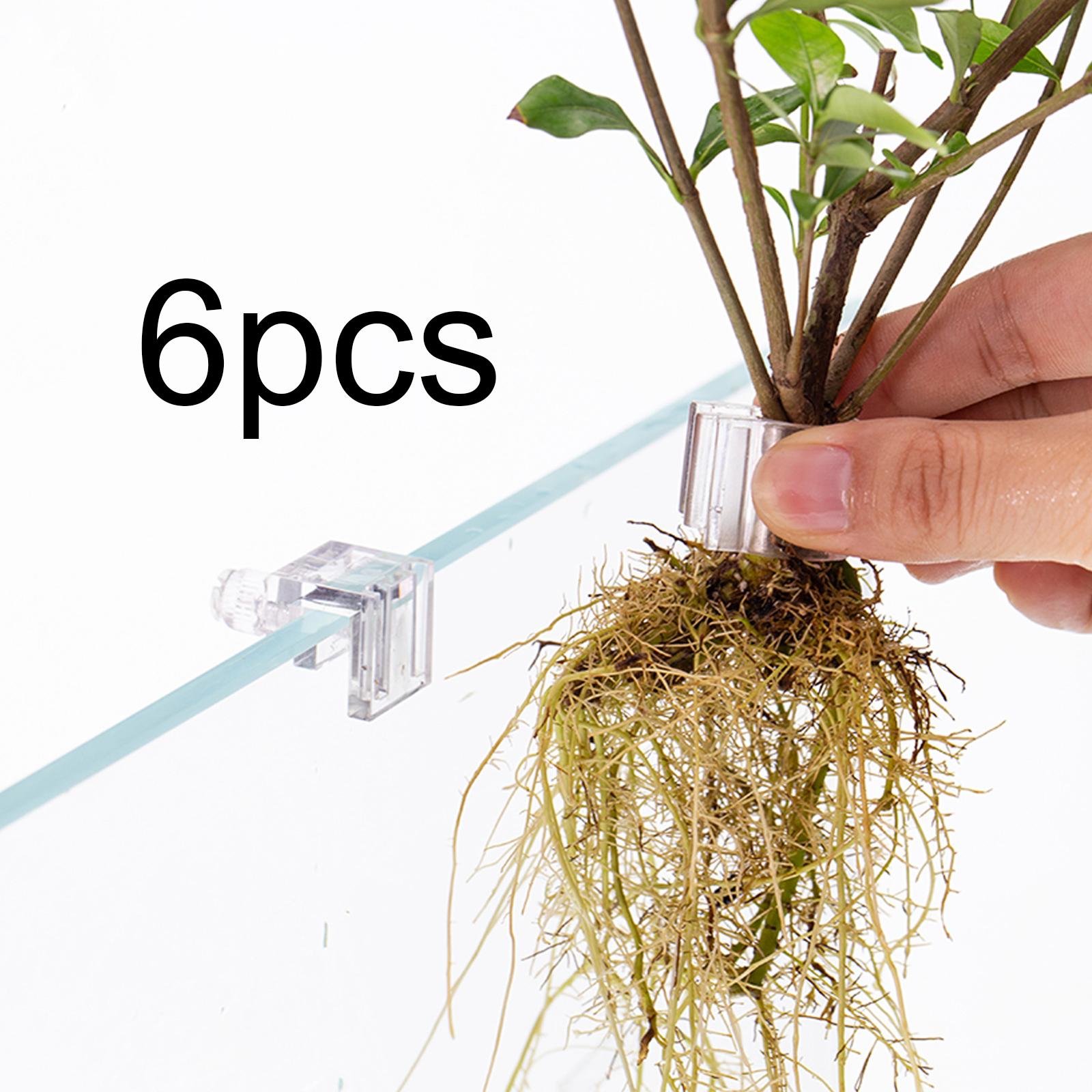 6 pièces de supports pour plan - Aquarium Fertilizer avis et prix
