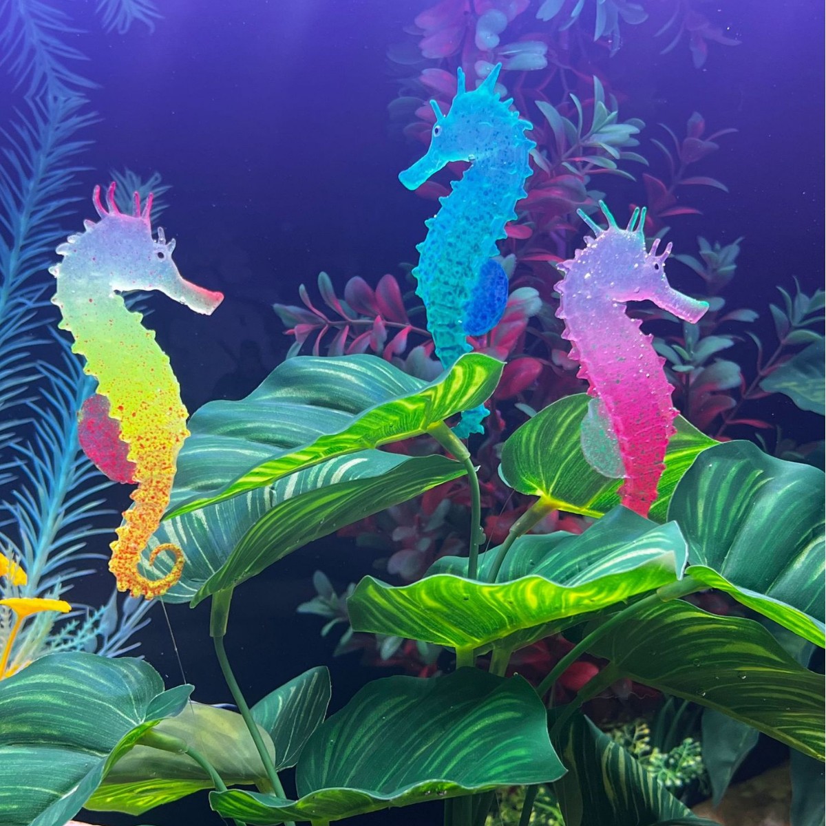 Décoration de poisson-hippocam - Aquarium Plant Substrate avis et prix