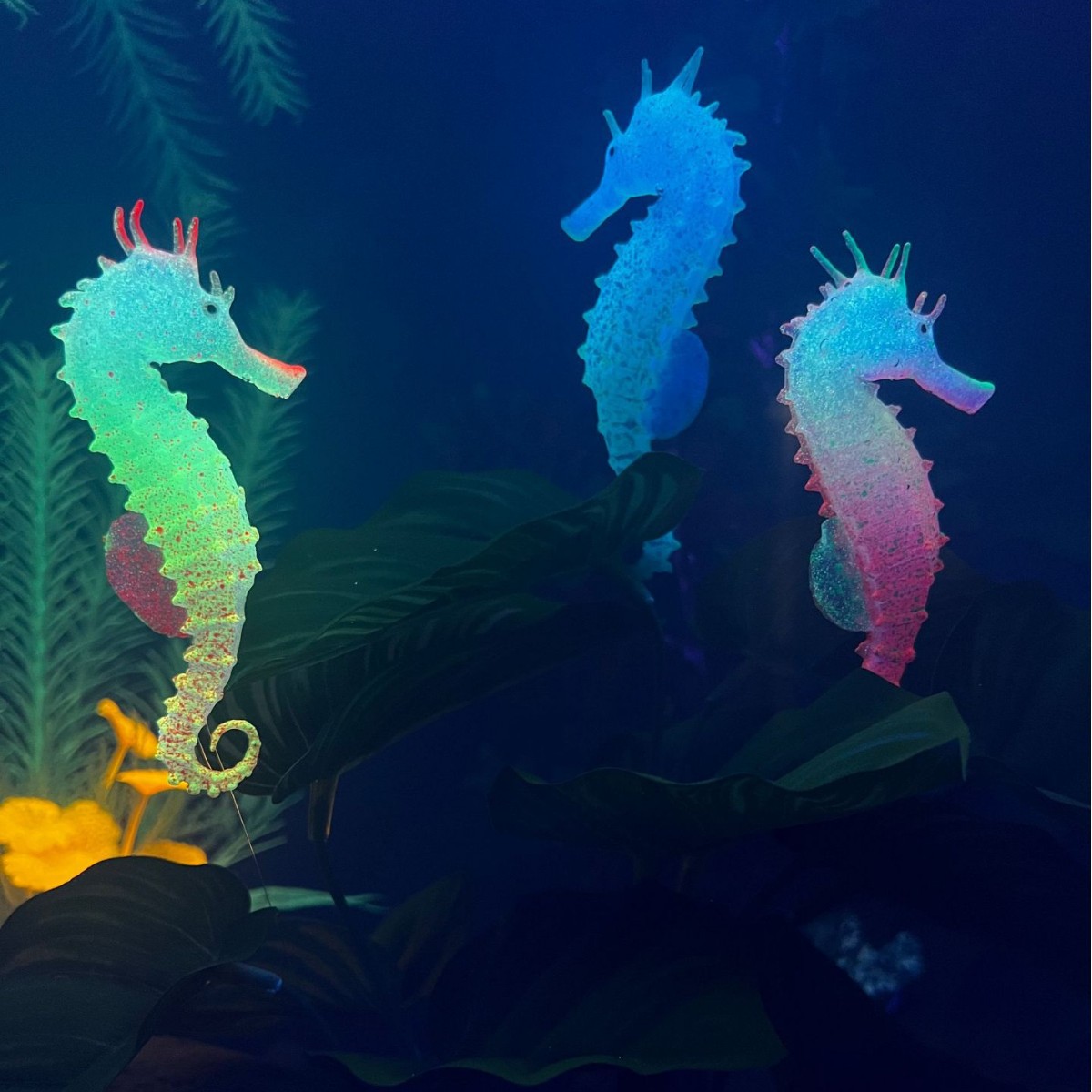 Décoration de poisson-hippocam - Aquarium Plant Substrate avis et prix
