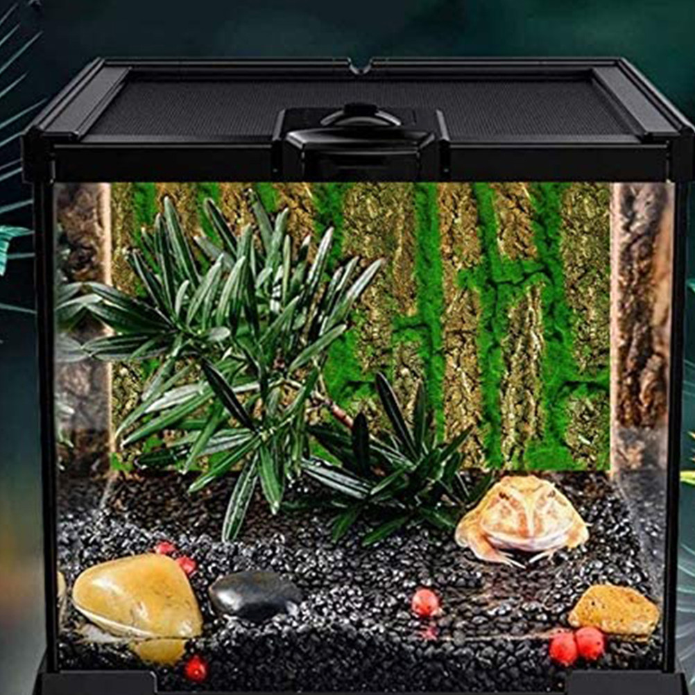 Panneau de fond d'aquarium 3D, - Aquarium Moss avis et prix