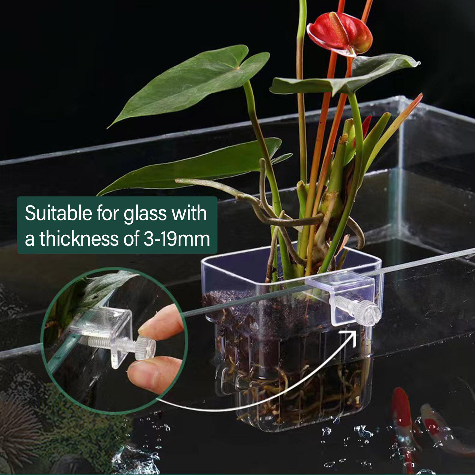 Support de plantes en acryliqu - Aquarium Plant Holder avis et prix