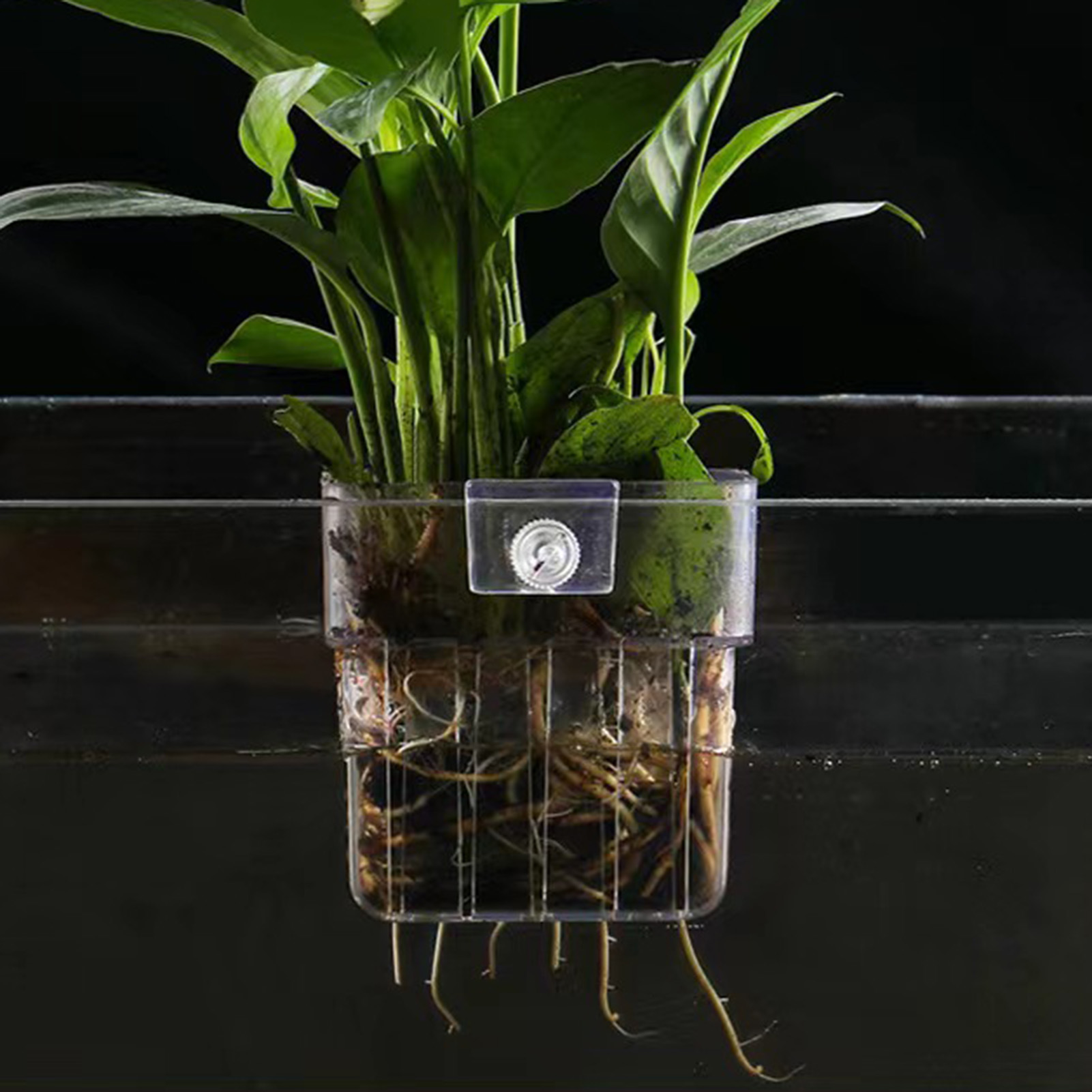 Support de plantes en acryliqu - Aquarium Plant Holder avis et prix
