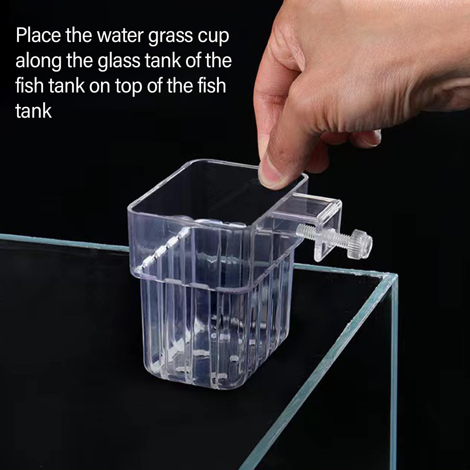 Support de plantes en acryliqu - Aquarium Plant Holder avis et prix