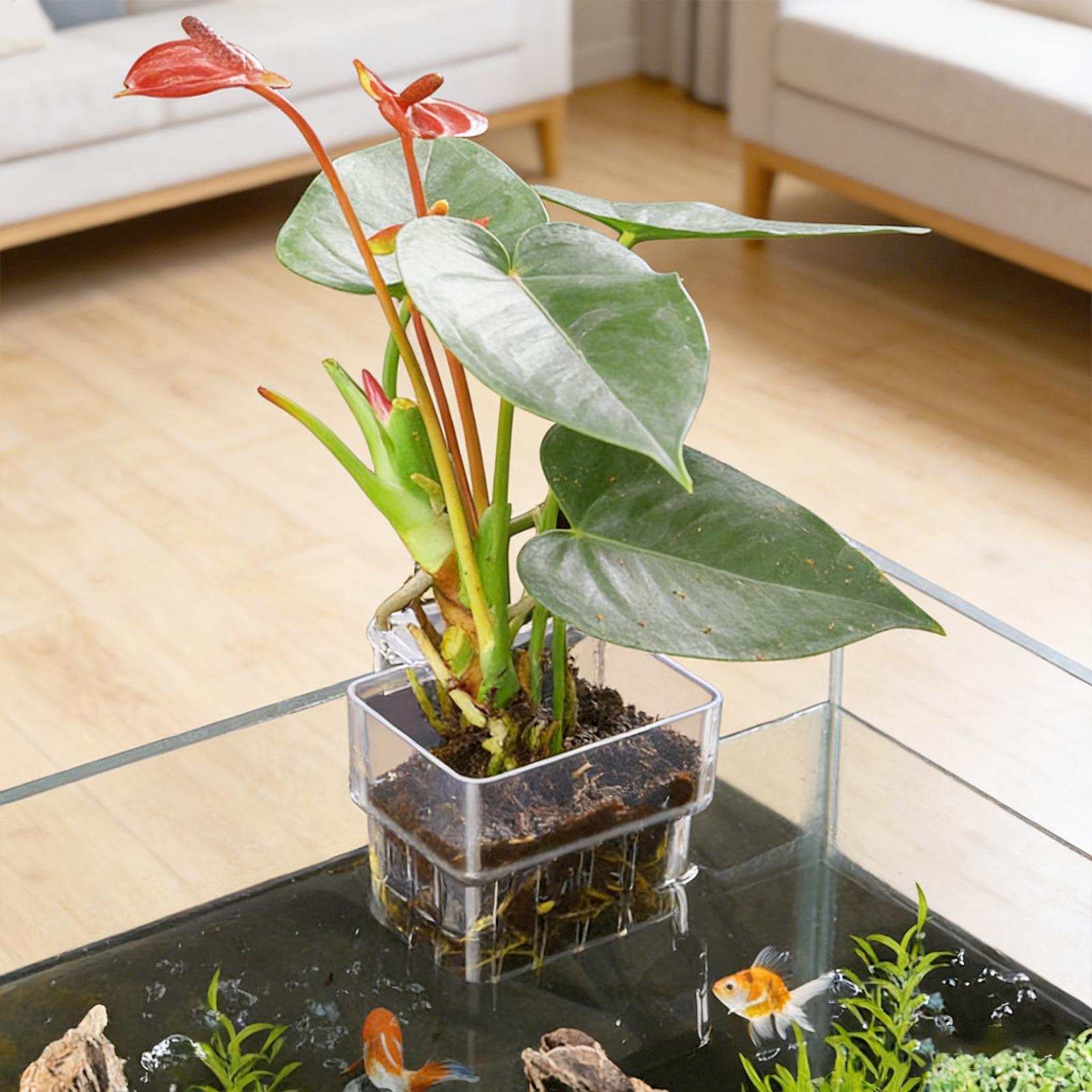 Panier pour plantes d'aquarium - Aquarium Plant Holder avis et prix
